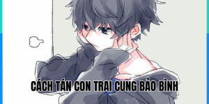 Cách Tán Con Trai Cung Bảo Bình