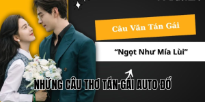 những câu thơ tán gái auto đổ